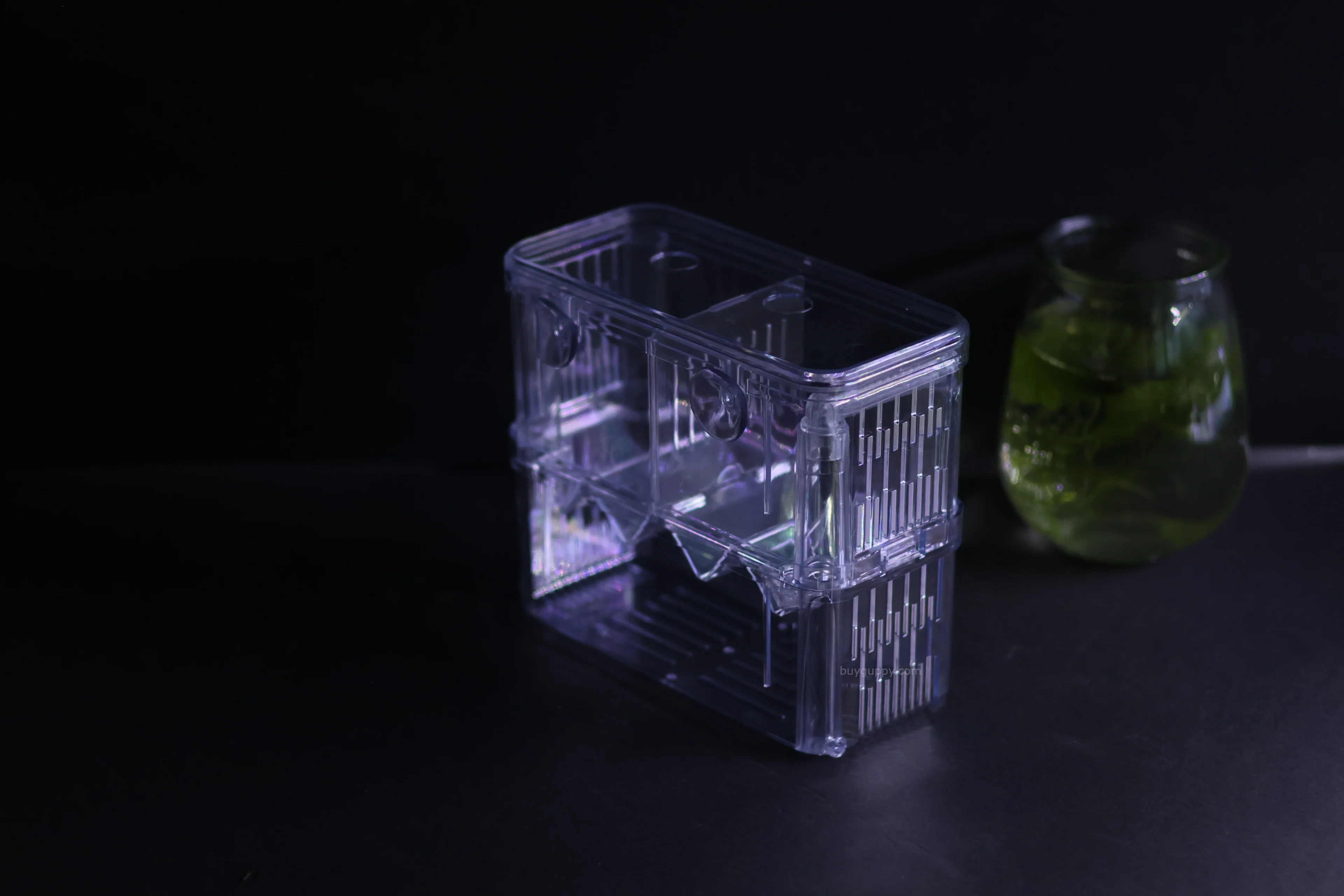 Aquarium Supplies